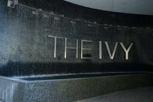 the-ivy-at-riverfront